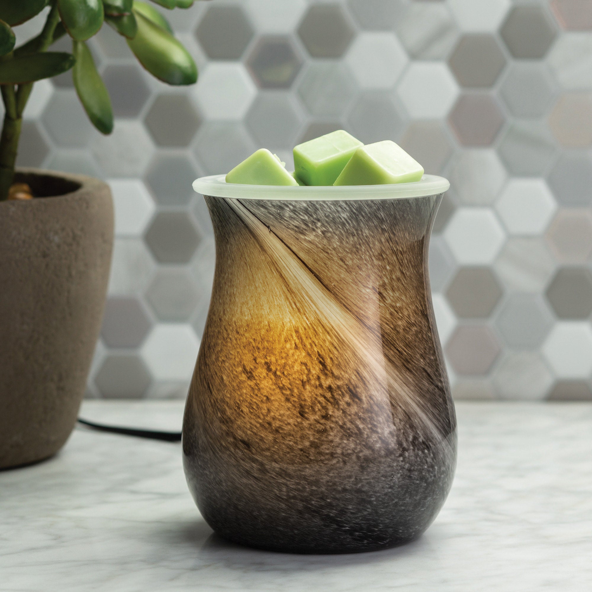 Tart warmer online